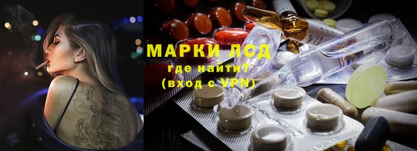 spice Богородск