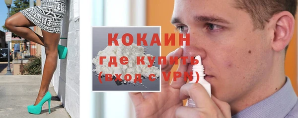 spice Богородицк