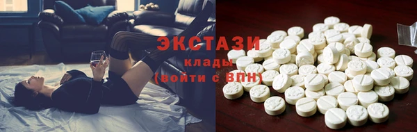 spice Богородицк