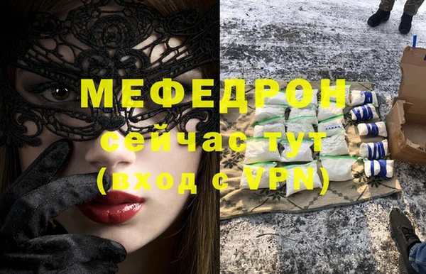spice Богородицк