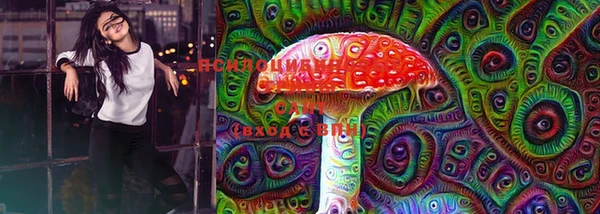 круглые Богданович