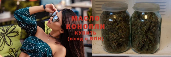 spice Богородицк