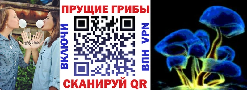 Галлюциногенные грибы мухоморы  Няндома 